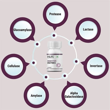 https://cdn.shopify.com/s/files/1/1857/6931/products/nCHpdGI2rN.jpg?v=1638266463